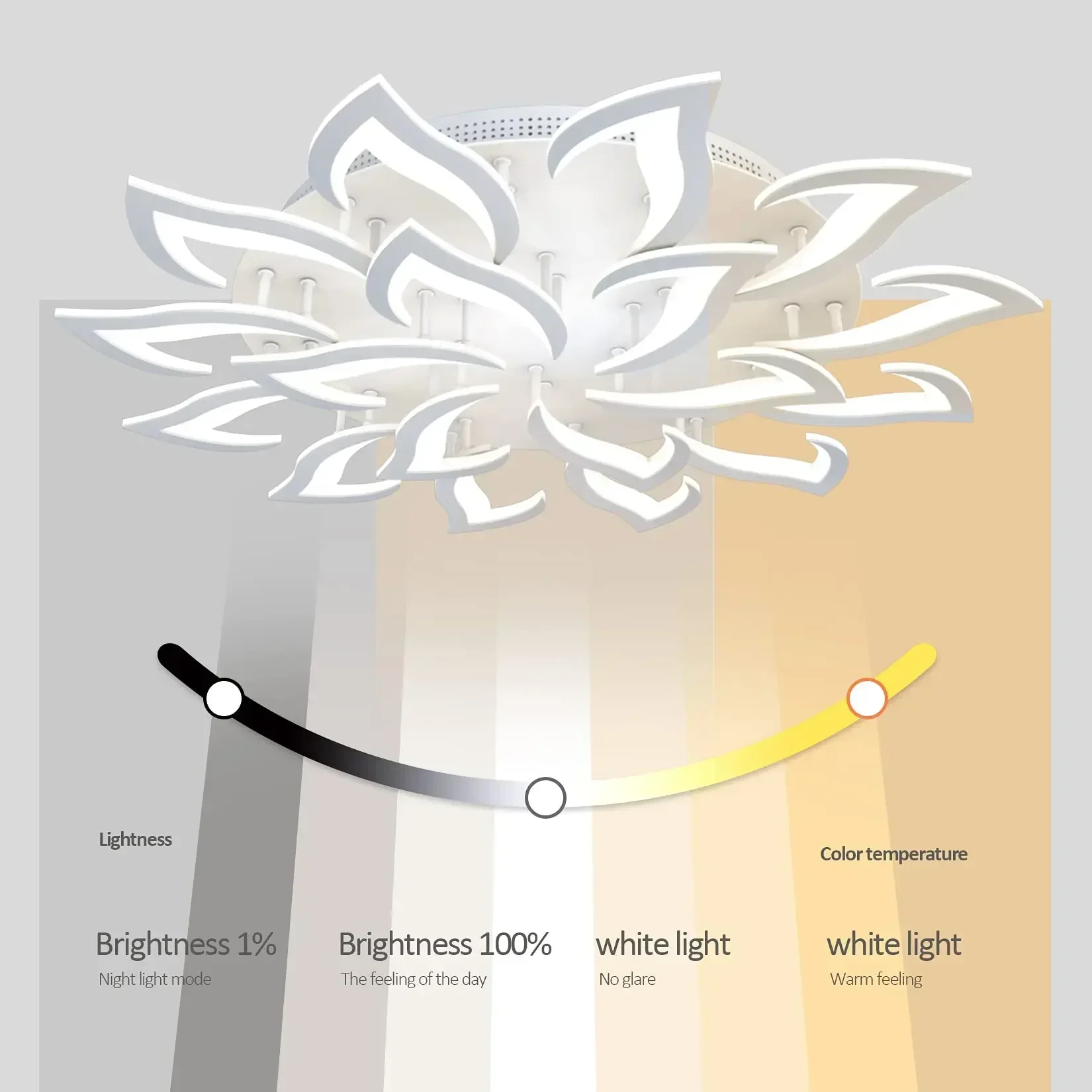 โคมระย้ากลีบดอก LED ของนักออกแ - Interior Design Kitchen And Living Room บทวิจารณ์และราคา