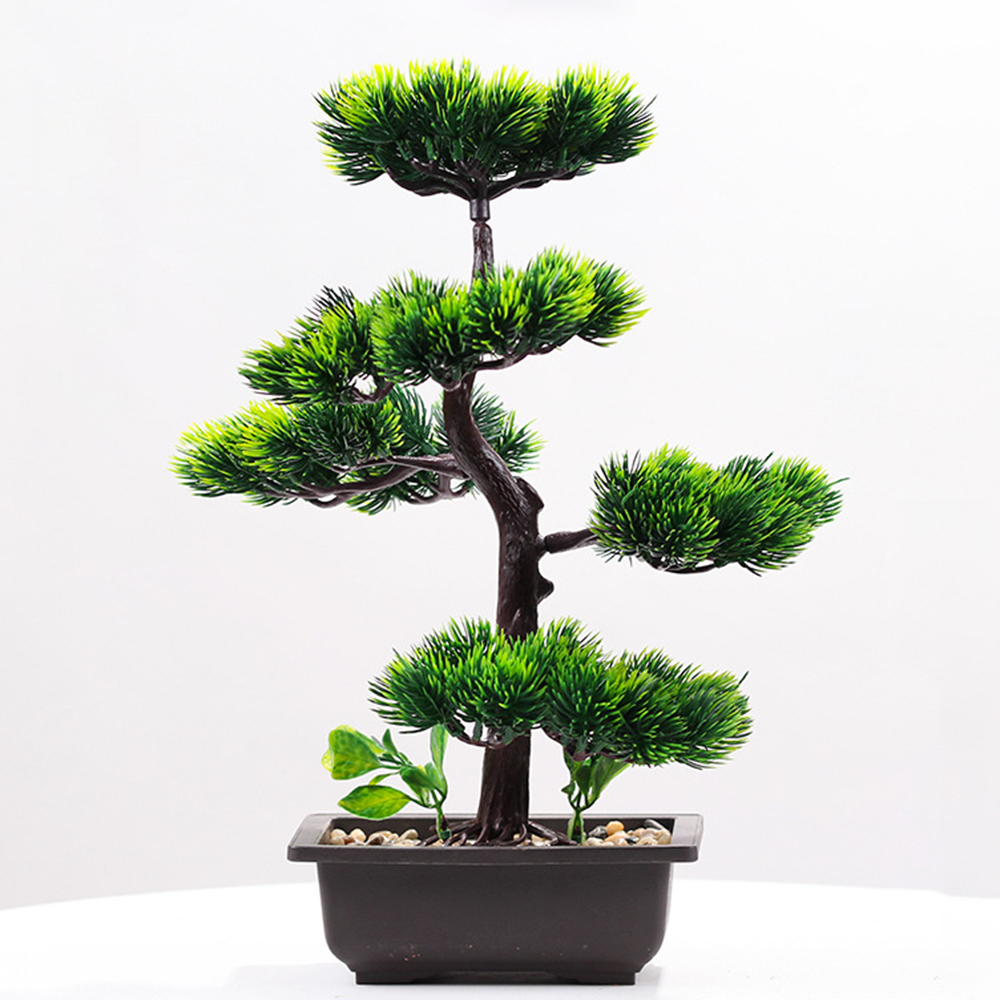 พืชประดิษฐ์ความงาม Pine Faux P - Interior Design Office บทวิจารณ์และราคา