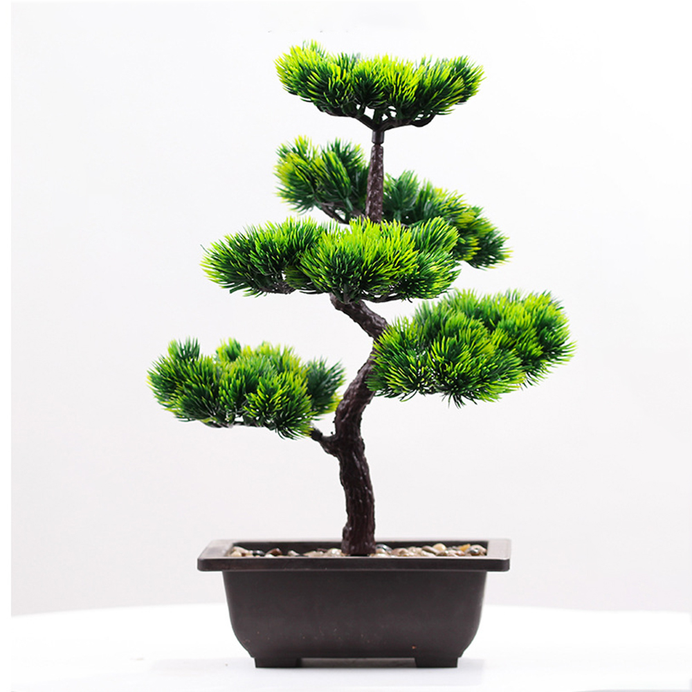 พืชประดิษฐ์ความงาม Pine Faux P - Interior Design Office บทวิจารณ์และราคา